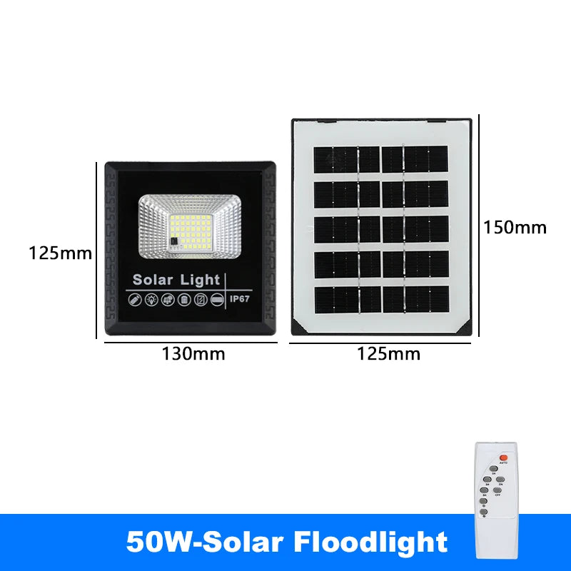 Solar LED Floodlight